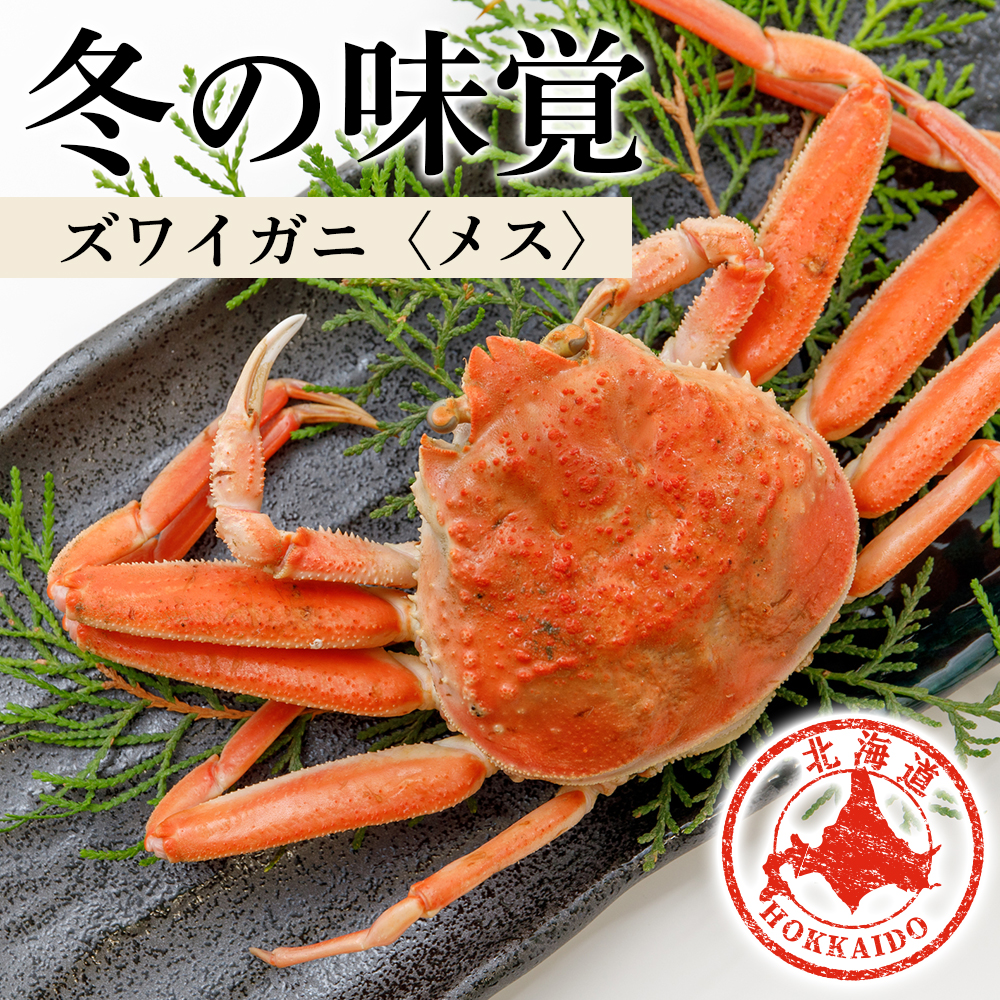 北海道産 生大ズワイガニ メス 2kg ずわいがに 蟹 〈斉藤水産