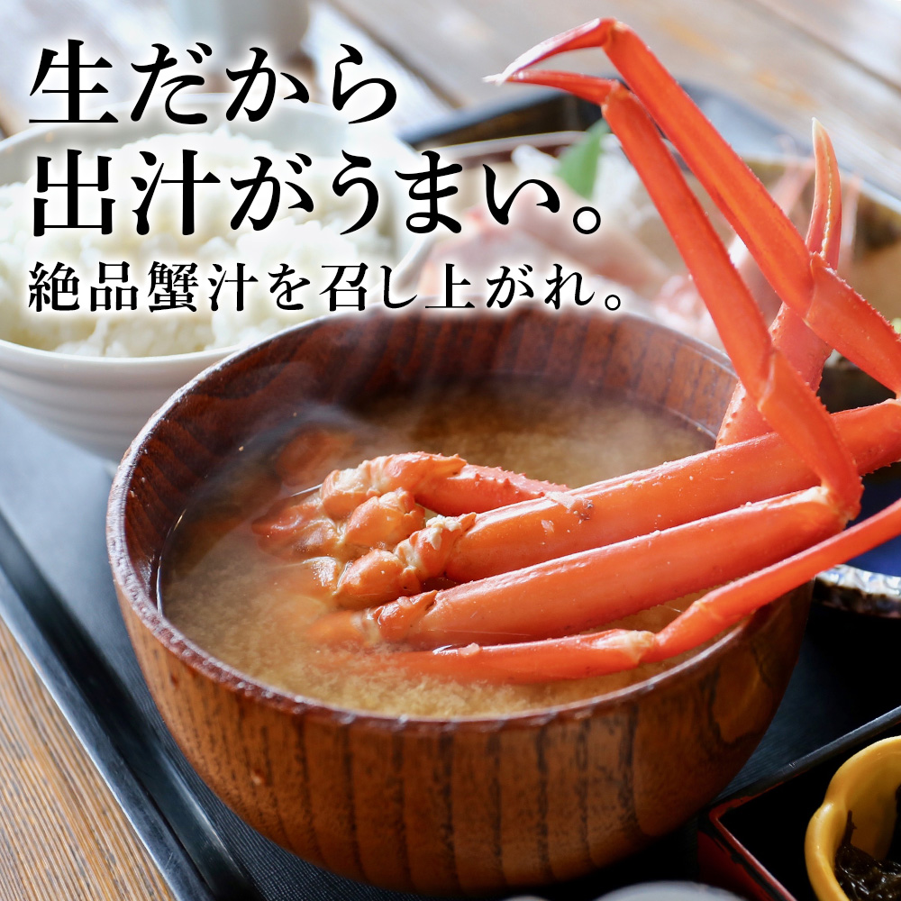 北海道産 生大ズワイガニ メス 2kg ずわいがに 蟹 〈斉藤水産