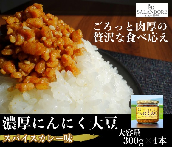 大容量 濃厚 にんにく大豆 スパイスカレー味 8本 セット 