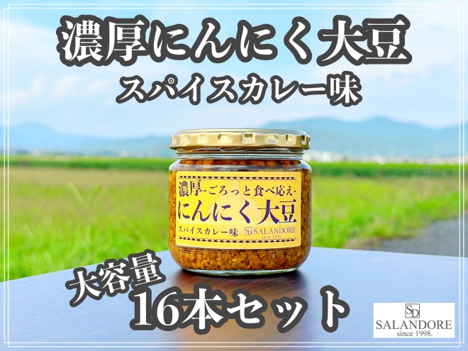 大容量 濃厚 にんにく大豆 スパイスカレー味 16本 セット 