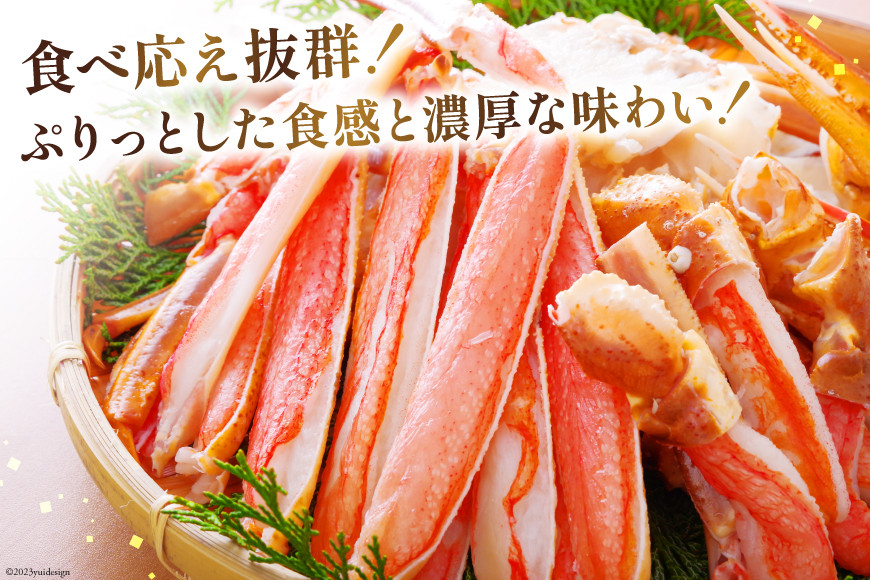 宮城県気仙沼市のふるさと納税 カット済 ずわいがに むき身セット 総重量1.5kg(750g×2p) かにしゃぶ かに鍋 正味重量1.2kg [カネダイ 宮城県 気仙沼市 20564319] かに カニ ずわいがに ずわい 蟹 棒 魚介 海鮮 ポーション
