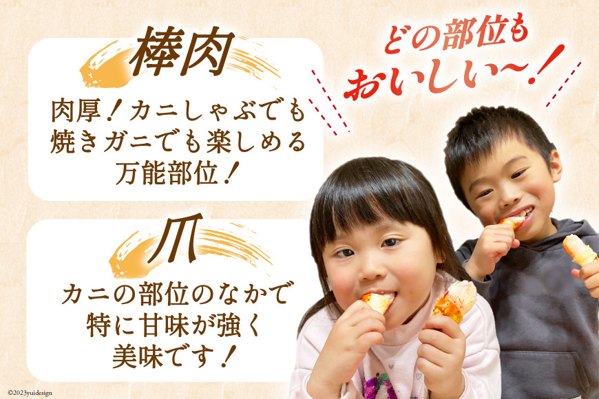 宮城県気仙沼市のふるさと納税 カット済 ずわいがに むき身セット 総重量1.5kg(750g×2p) かにしゃぶ かに鍋 正味重量1.2kg [カネダイ 宮城県 気仙沼市 20564319] かに カニ ずわいがに ずわい 蟹 棒 魚介 海鮮 ポーション