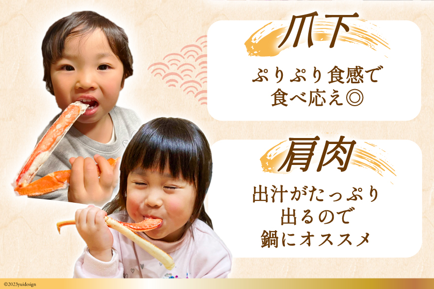 宮城県気仙沼市のふるさと納税 カット済 ずわいがに むき身セット 総重量1.5kg(750g×2p) かにしゃぶ かに鍋 正味重量1.2kg [カネダイ 宮城県 気仙沼市 20564319] かに カニ ずわいがに ずわい 蟹 棒 魚介 海鮮 ポーション