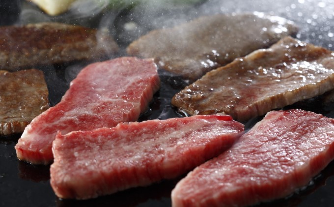 福岡県朝倉市のふるさと納税 井上牧場 朝倉和牛　赤身焼肉用　400g ※配送不可：離島 お肉 牛肉 バーベキュー