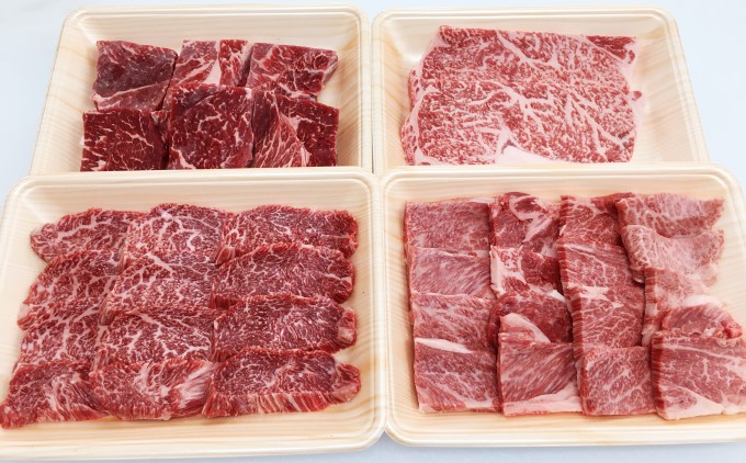 井上牧場 朝倉和牛　BBQセット ※配送不可：離島 お肉 牛肉 焼肉 バーベキュー ステーキ 