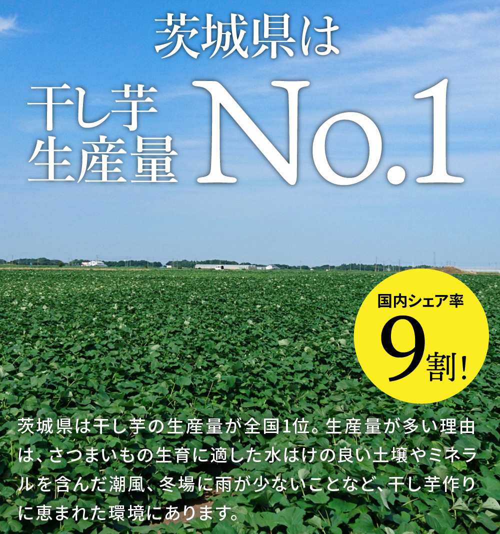 【予約販売】【定期便 5ヶ月】平干し 食べ比べセット（100g×4袋） ※2026年2月以降より順次発送予定