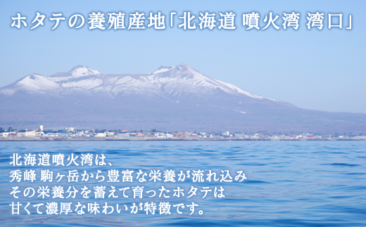 【先行予約2026年3月下旬発送開始】北海道産 ホタテ ガンガン焼き カンカン焼き 1.5kg以上 北海道産 ホタテ 加熱用 説明書付き カンカン蒸し 浜蒸し ホタテ 帆立 ほたて 魚介 海鮮 貝 アウトドア キャンプ バーベキュー BBQ 事業者支援 漁師応援