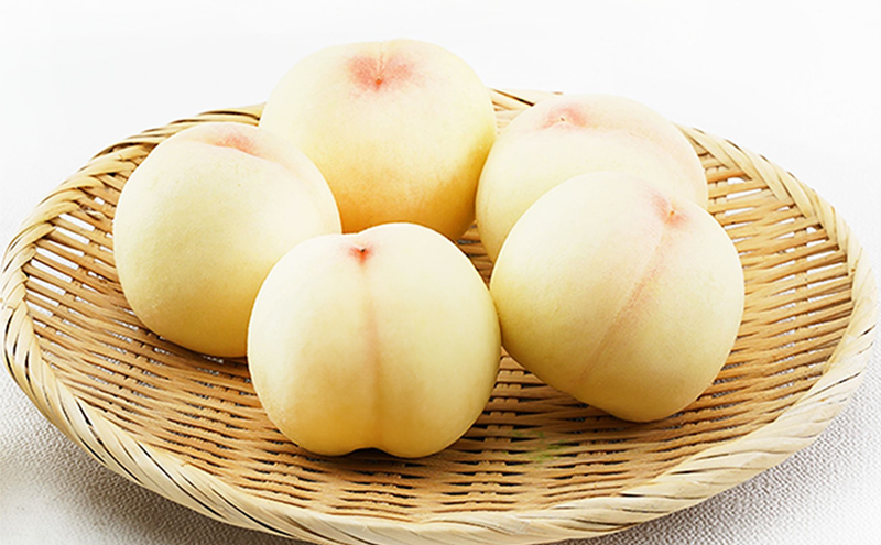 桃 2026年 先行予約 岡山 白桃 5玉（1玉310g以上）等級：ロイヤル指定／糖度：12度以上 木箱入り もも モモ 岡山県産 国産 フルーツ 果物 ギフト 