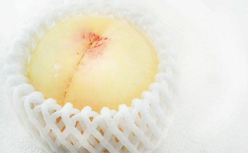 桃 2026年 先行予約 岡山 白桃 5玉（1玉310ｇ以上）等級：ロイヤル指定／糖度：12度以上 木箱入り もも モモ 岡山県産 国産 フルーツ 果物 ギフト 