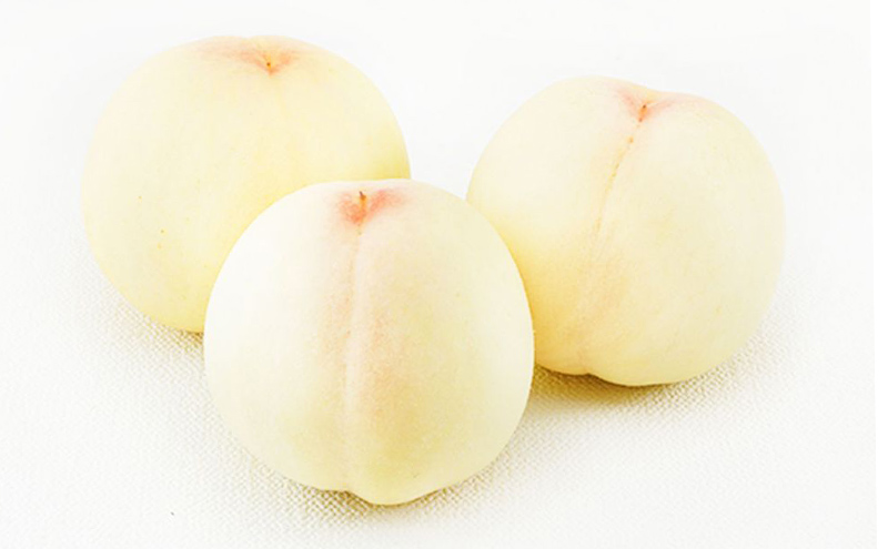 桃 2026年 先行予約 岡山 白桃 5玉（1玉310ｇ以上）等級：ロイヤル指定／糖度：12度以上 木箱入り もも モモ 岡山県産 国産 フルーツ 果物 ギフト 