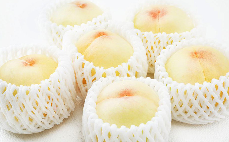 桃 2026年 先行予約 岡山 白桃 6玉（1玉330ｇ以上）等級：ロイヤル指定／糖度：12度以上 木箱入り もも モモ 岡山県産 国産 フルーツ 果物 ギフト 