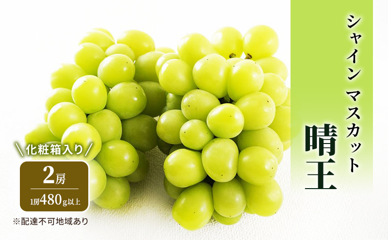 yR˓szԂǂ 2026N s\ VC }XJbg  2[ (1[480gȏ) ϔ uhE  RY Y t[c ʕ Mtg