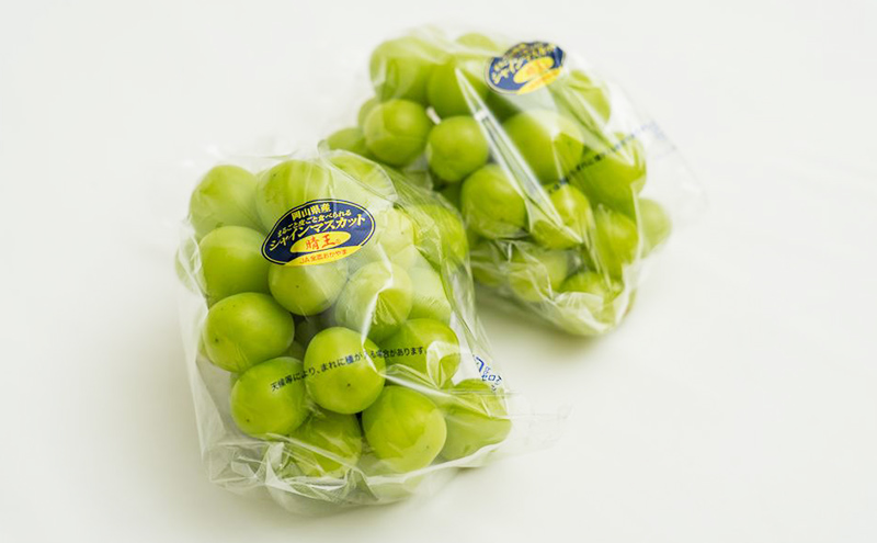 ぶどう 2026年 先行予約 シャイン マスカット 晴王 2房 (1房480g以上) 化粧箱入り ブドウ 葡萄 岡山県産 国産 フルーツ 果物 ギフト 