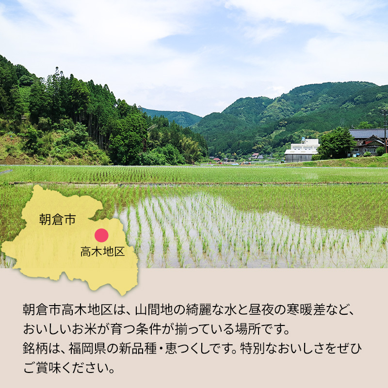 米 5kg 恵つくし 奇跡の一粒 5kg×1 令和7年産 お米 こめ コメ 新品種 