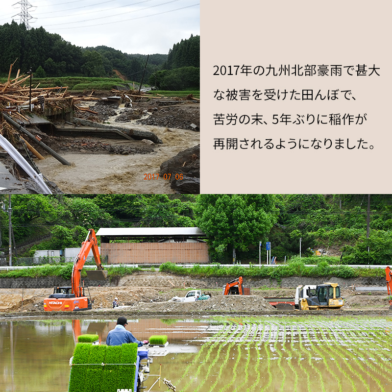 米 10kg 恵つくし 奇跡の一粒 5kg×2 令和7年産 お米 こめ コメ 新品種 
