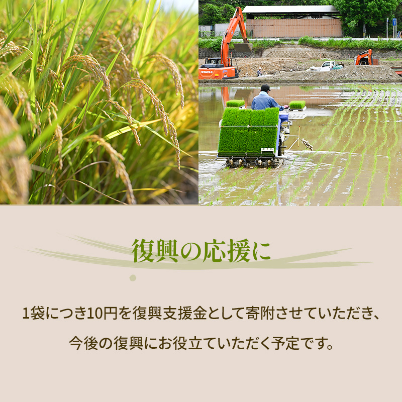 米 10kg 恵つくし 奇跡の一粒 5kg×2 令和7年産 お米 こめ コメ 新品種 