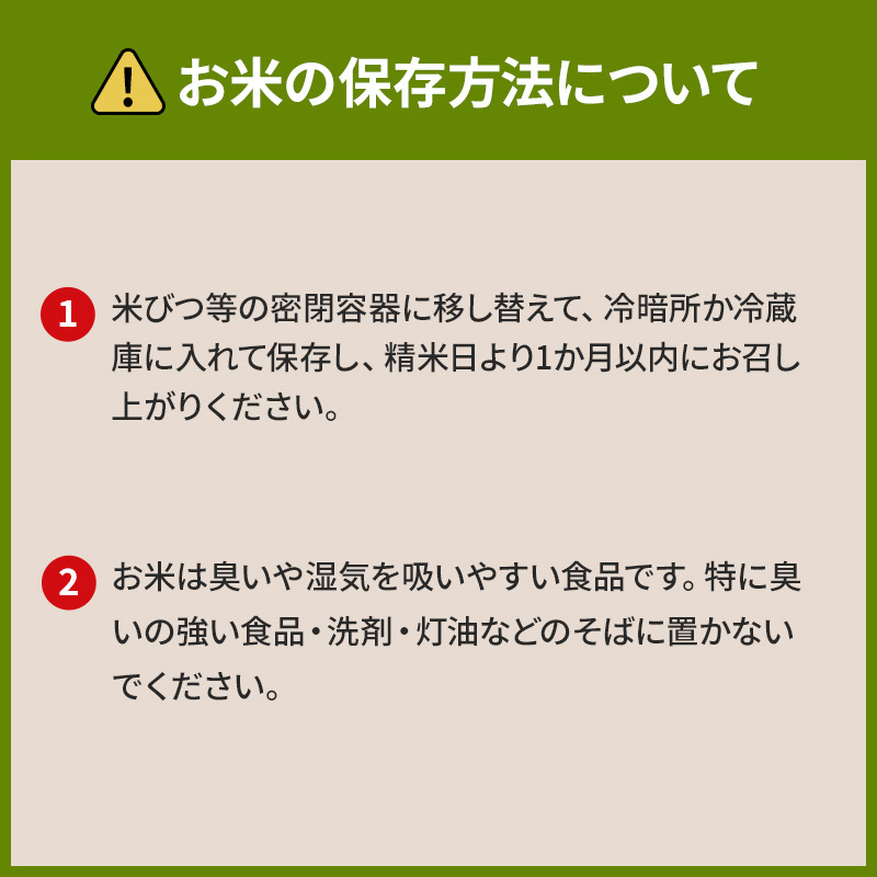 米 10kg 恵つくし 奇跡の一粒 5kg×2 令和7年産 お米 こめ コメ 新品種 