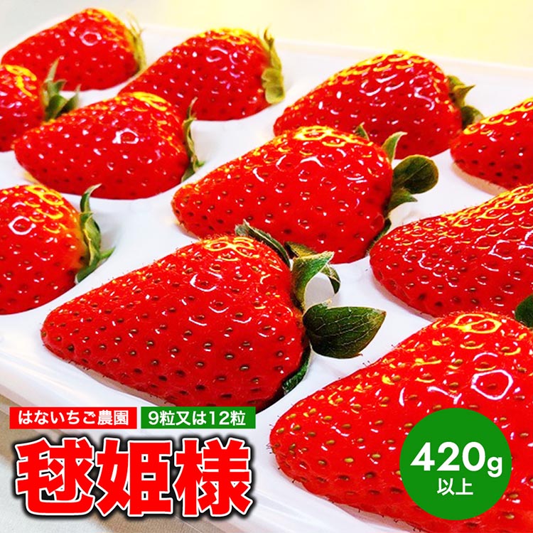 はないちご農園「毬姫様」9粒または12粒