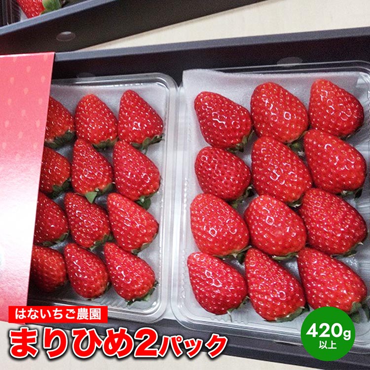 はないちご農園「まりひめ2パック」