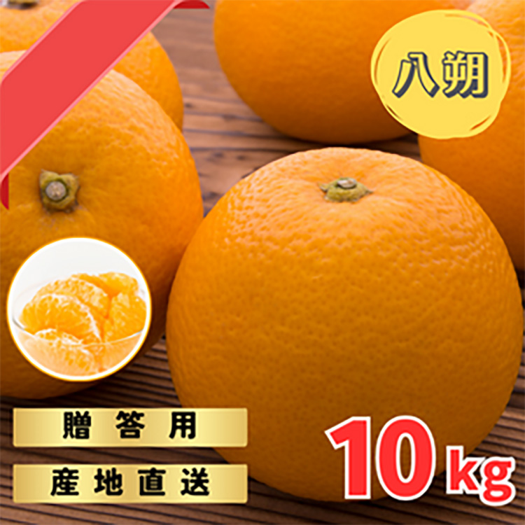 【先行予約】 贈答用 完熟 木なり ハッサク 10kg (M～2Lサイズ)  | 八朔 旬 柑橘 フルーツ 果物 柑 産地直送 箱入 和歌山県