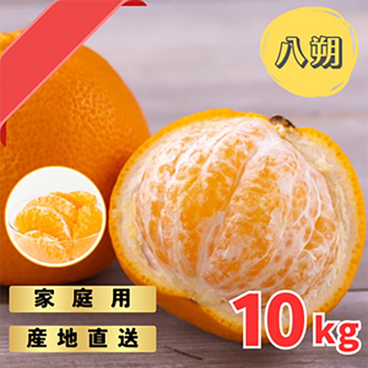 【先行予約】 ご家庭用 完熟 木なり ハッサク 10kg (M～2Lサイズ)  | 八朔 旬 柑橘 フルーツ 果物 柑 産地直送 箱入 和歌山県 