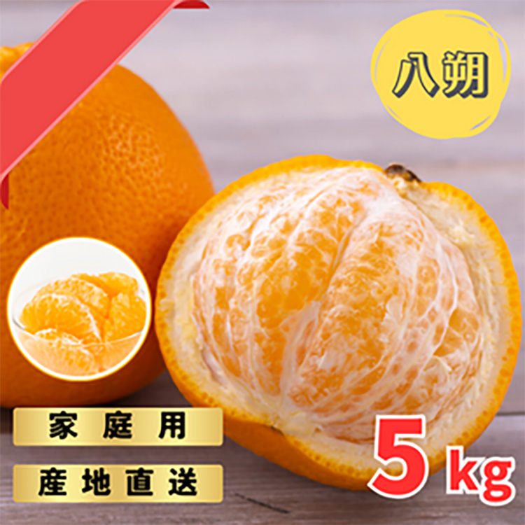 【先行予約】 ご家庭用 完熟 木なり ハッサク 5kg (M～2Lサイズ)  | 八朔 旬 柑橘 フルーツ 果物 柑 産地直送 箱入 和歌山県