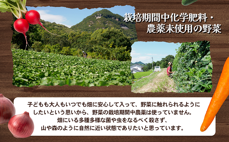 【 小豆島 】 瀬戸内 小豆島そだちの旬野菜 セット 農家直送 野菜 やさい 旬 旬野菜 新鮮 詰め合わせ 直送 国産 小豆島産 香川 香川県 土庄 土庄町