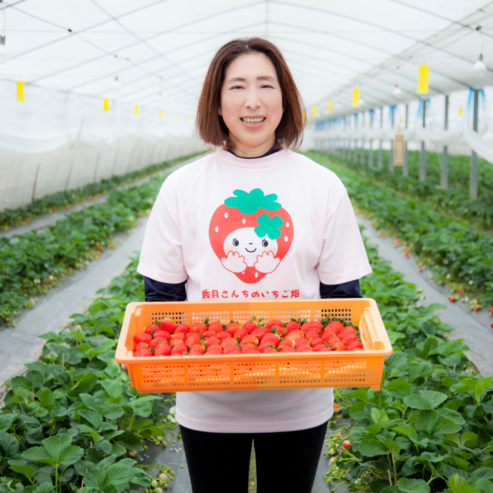 苺畑さん専用 10月9日（水）～10月11日（金） 幕張メッセで開催していた 第14