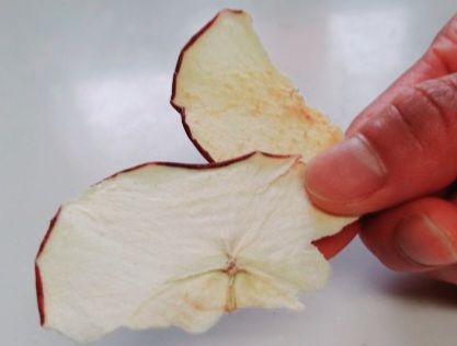 ペットの信州産リンゴドライサラダ3袋リンゴ肉厚ジャーキー2袋セット 犬 猫 動物 餌 おやつ 自然 安心 安全 美味しい ご褒美 簡単 手作り ごはん ペットフード 食物繊維 