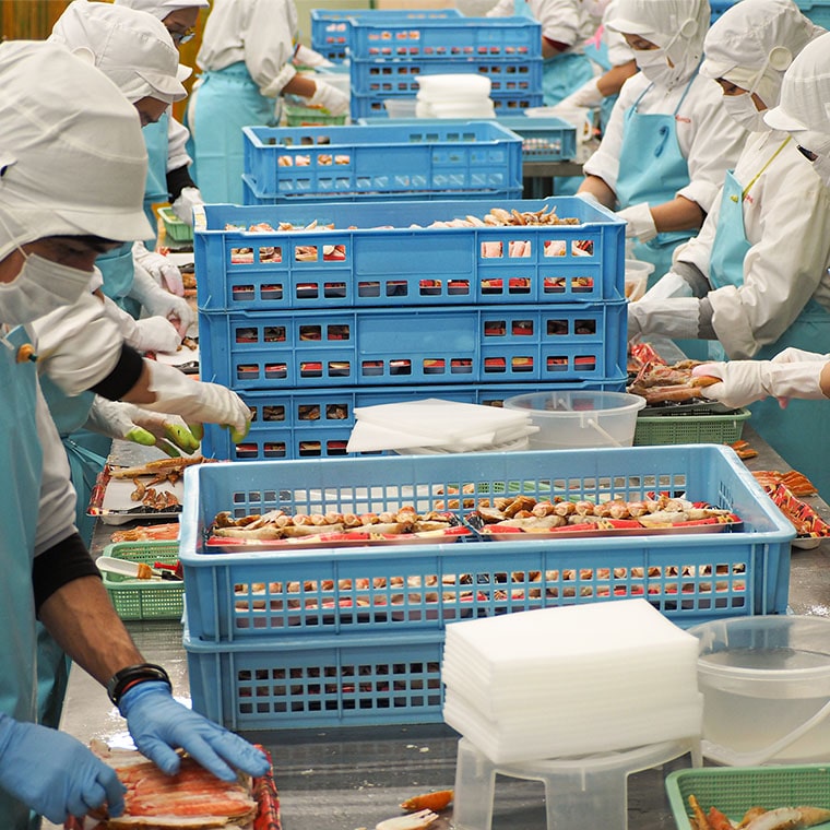 【12月25日決済確定分まで年内発送】ボイル ずわいがに 1kg (4肩) 弥七商店 かに弥 ずわい蟹 ズワイガニ かに カニ 蟹 カニ足 脚 ずわい 鍋 焼きガニ