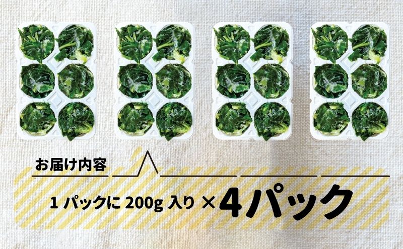 まんてんケール 　冷凍カットケールセット 野菜 冷凍野菜 食べやすい スムージー ソテー 炒め物 食材 食卓
