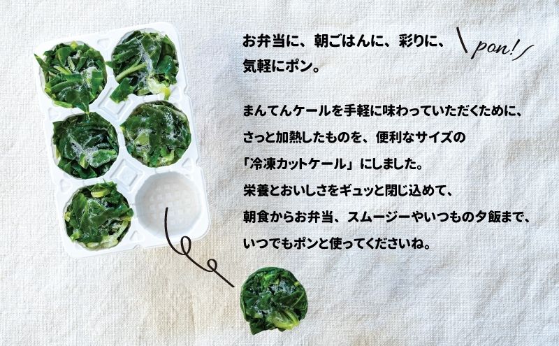 まんてんケール 　冷凍カットケールセット 野菜 冷凍野菜 食べやすい スムージー ソテー 炒め物 食材 食卓