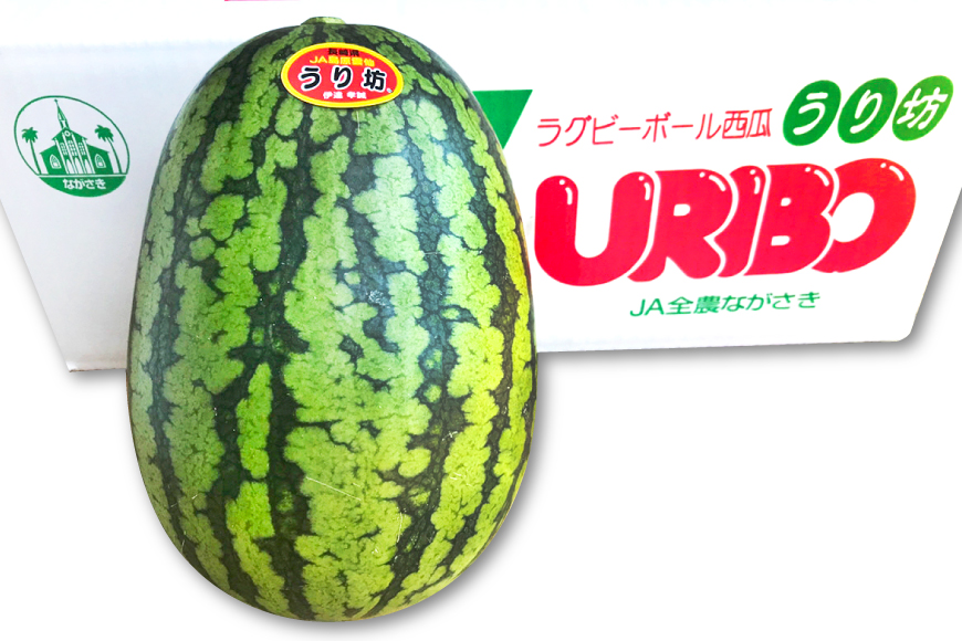 長崎県島原市のふるさと納税 BE276 【令和8年度出荷分】小玉スイカ「うり坊」5kg（1.7kg以上×2～3玉） ～名水百選の里 島原産～