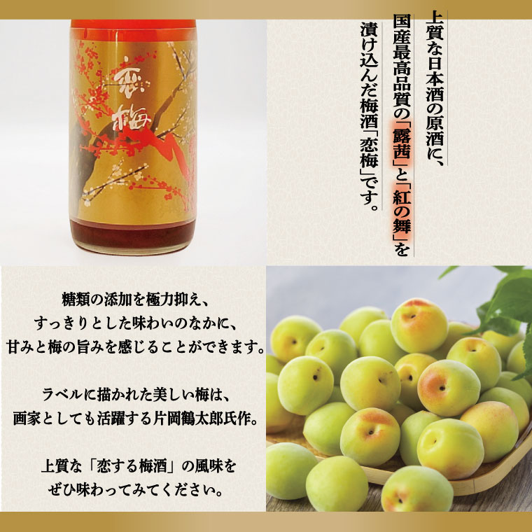 本醸造 720ml 日本酒 仕込み 梅酒 恋梅 720ml 2本 セット 月の井 大洗 地酒 国産梅 日本酒 茨城