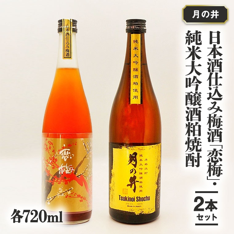 【茨城県大洗町】日本酒 仕込 梅酒 恋梅720ml 純米大吟醸 酒粕 焼酎 720ml 2本 セット 酒粕焼酎 国産梅 月の井 大洗 地酒 茨城