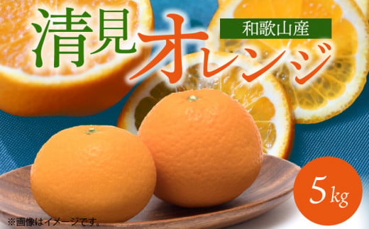 G7066_【2026年先行予約】とにかくジューシー 清見 オレンジ 5kg