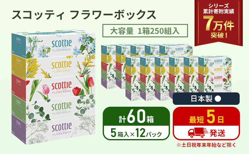 ティッシュ スコッティ フラワーボックス 60箱 ( 5箱 × 12パック) 