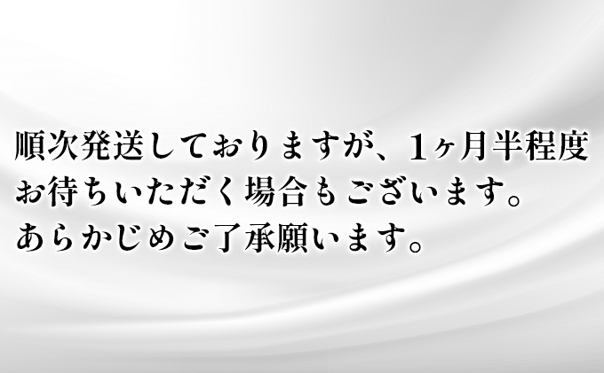 ティッシュ スコッティ フラワーボックス 54箱 (3箱×18パック) ティッシュペーパー ティシュー ティシューペーパーボックスティッシュ ボックスティシュー ティシュペーパー 防災 災害 日用品 消耗品 生活用品 生活必需品 まとめ買い 宮城県 岩沼市
