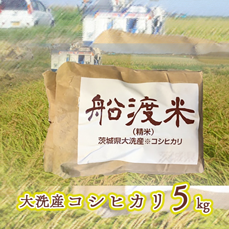 【茨城県大洗町】令和7年産 米 コシヒカリ 5kg 舟渡米 茨城 大洗 国産 白米 精米
