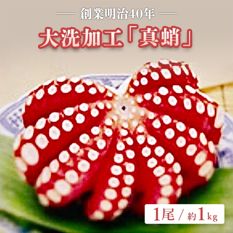 【12月23日決済分まで年内発送】創業明治 40年 大洗加工 真蛸 1尾 約 1kg 茨城県 大洗 たこ 蛸 タコ