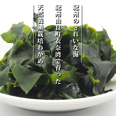 BB6056_紀州衣奈産 乾燥わかめ 150g×5パック (2026年産)