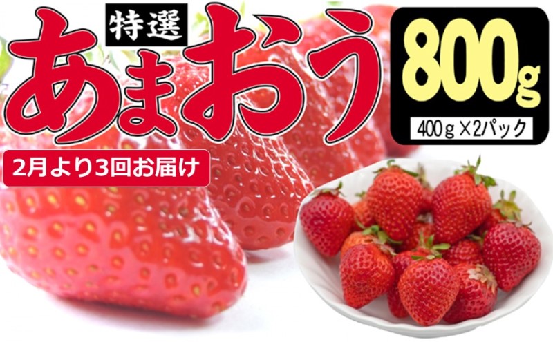 定期便 3ヶ月 いちご あまおう 800g 特選 あまおう 2026年2月より発送 イチゴ 苺 フルーツ 果物 デザート 3回 お楽しみ ※配送不可：離島 