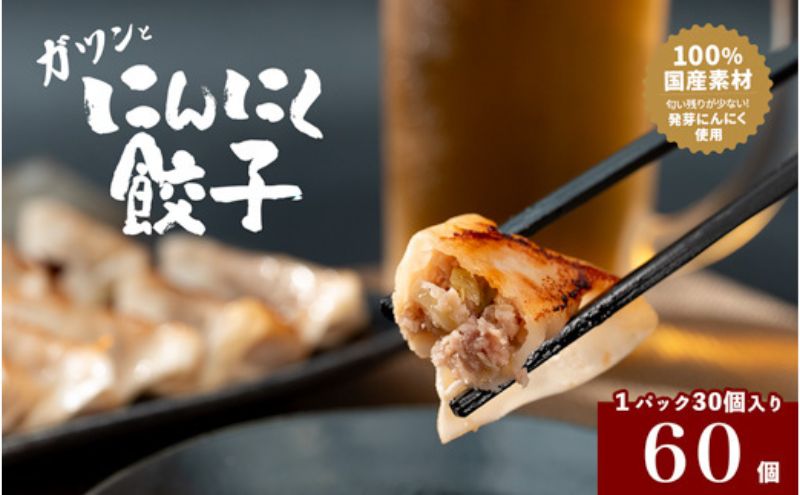 発芽にんにく餃子30個入り2パック　餃子 にんにく にんにくたっぷり 国産にんにく 発芽にんにく 冷凍 臭わない 栄養価抜群 スタミナ 免疫アップ おつまみ おかず 総菜 餃子専門店 ぎょうざ 工場直売 大量 まとめ買い 