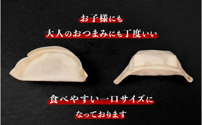 発芽にんにく餃子30個入り2パック　餃子 にんにく にんにくたっぷり 国産にんにく 発芽にんにく 冷凍 臭わない 栄養価抜群 スタミナ 免疫アップ おつまみ おかず 総菜 餃子専門店 ぎょうざ 工場直売 大量 まとめ買い 