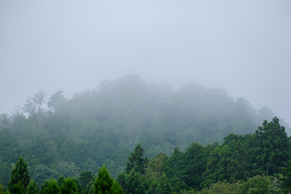 旅行 京都 京都丹波一棟貸しヴィラアシタニ 1泊2食付き ペア 宿泊券 一棟貸し 1組限定 貸し別荘 洋館 宿泊プラン 関西 宿泊補助券 施設利用券 チケット 旅行券 宿泊 旅館 ホテル バーベキュー 焚き火 ワイン お酒 プレゼント 