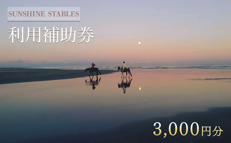 [SUNSHINE STABLES]利用補助券（3,000円分） 体験チケット チケット 