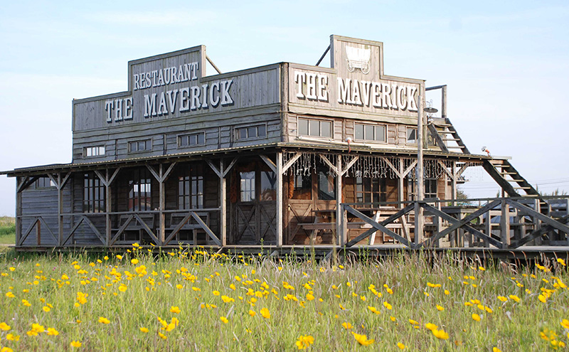 [SUNSHINE STABLES]サンシャインスペシャルパック 体験チケット 