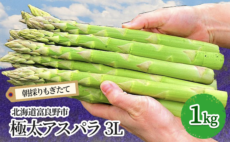 ykCxǖszy2026Ntzɑ O[AXp 3LTCY 1kg kC xǖsY (XC[gxW^ut@Ng[)