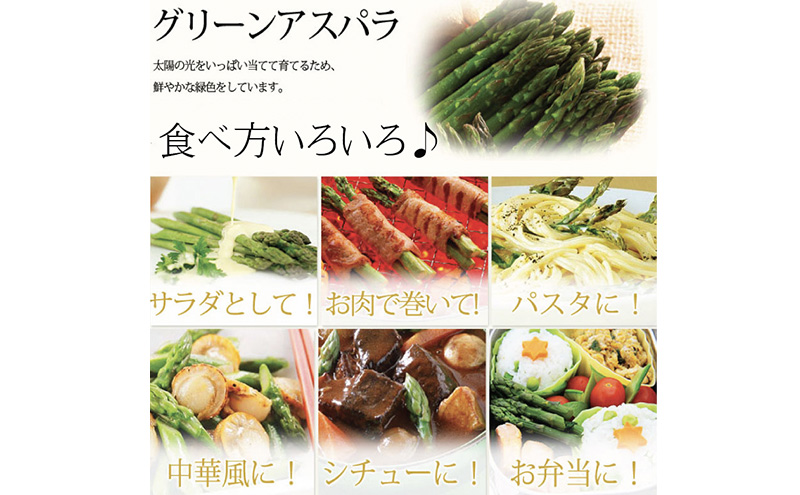 【2026年春発送】極太 グリーンアスパラ 2Lサイズ 1kg 北海道 富良野市産 (スイートベジタブルファクトリー)