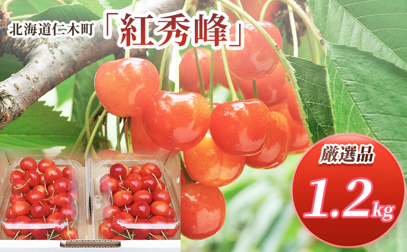 ykCmؒzst kC mؒY  gG 1.2kg (300g×4pbN) L-MTCY @{  Yn TN{ `F[ t[c ʕ ʕ  mؒ m [RX]